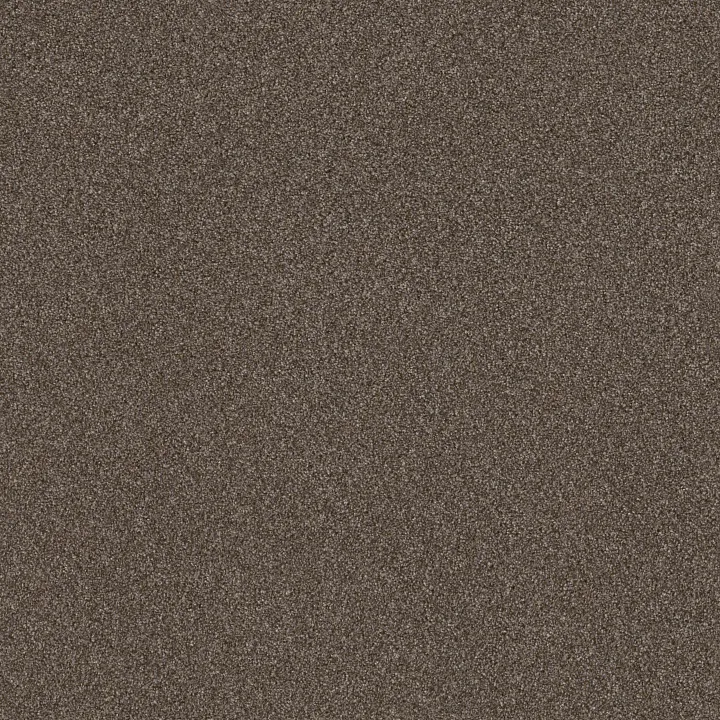 Shaw Floors Right Choice — Raw Wood · 5E542-00710 — flooring selection with LeviArs Design & Remodeling