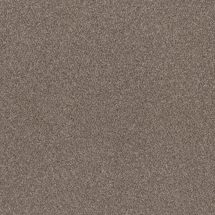 Shaw Floors Right Choice — Sandstone · 5E542-00113 — flooring selection with LeviArs Design & Remodeling