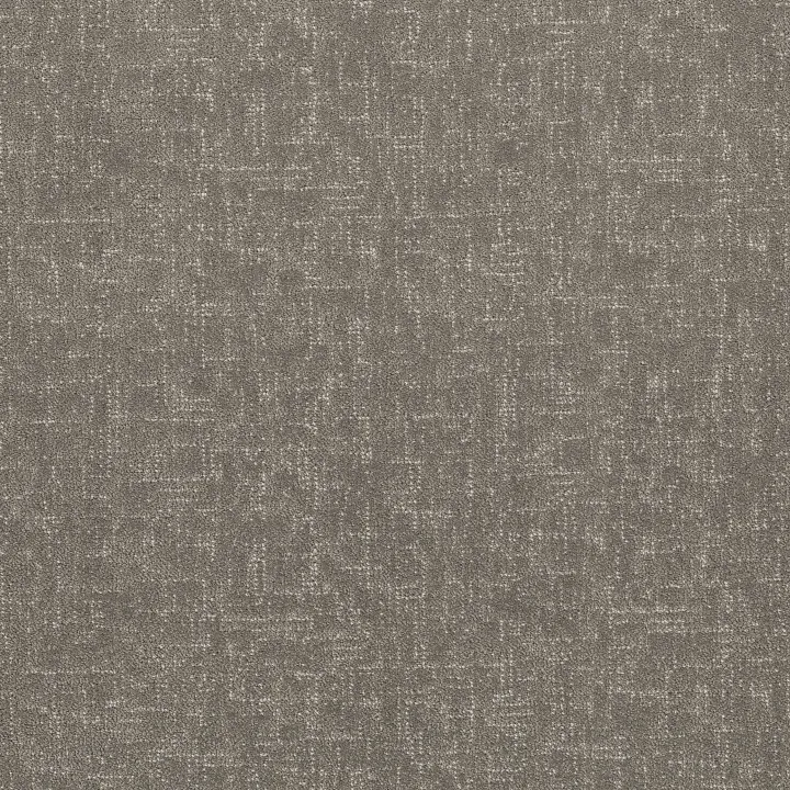 Shaw Floors Run Free — Ashes · 5E588-00501 — flooring selection with LeviArs Design & Remodeling