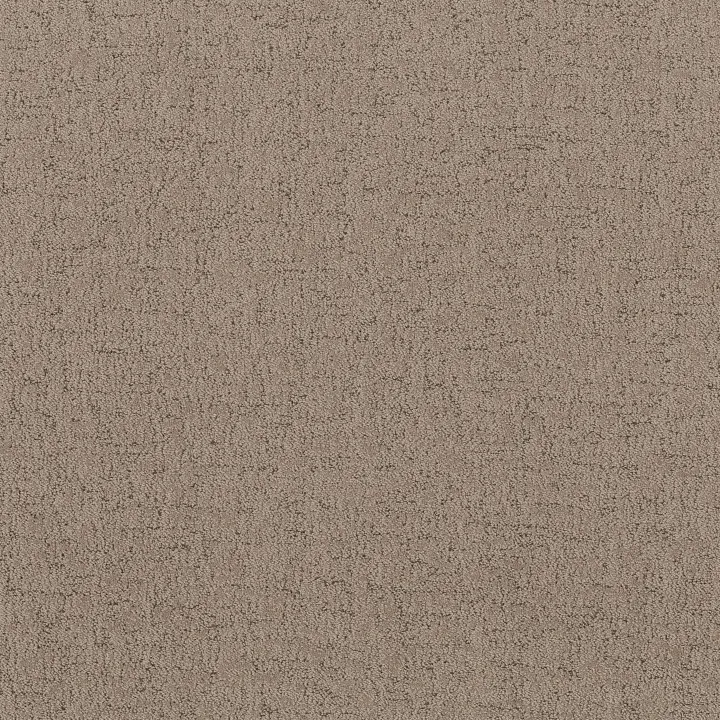 Shaw Floors Run Free — Cameo · 5E588-00113 — flooring selection with LeviArs Design & Remodeling