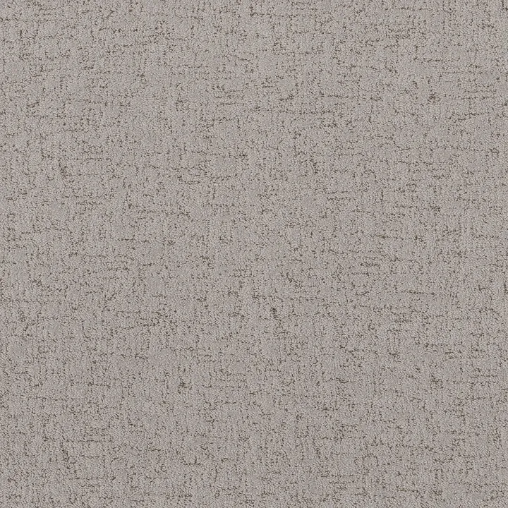 Shaw Floors Run Free — Gravity · 5E588-00556 — flooring selection with LeviArs Design & Remodeling