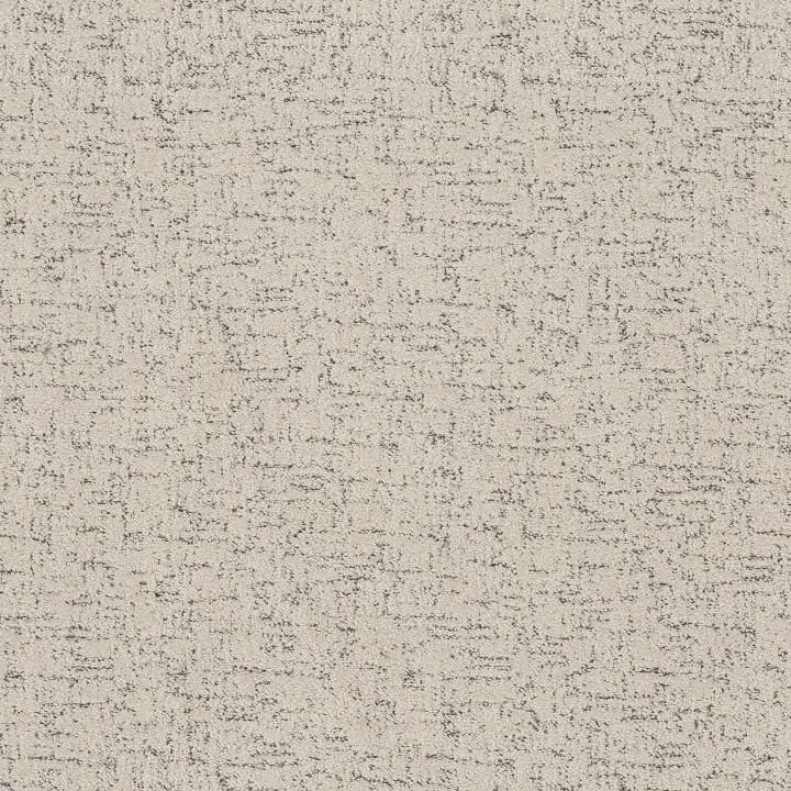Shaw Floors Run Free — Marble · 5E588-00103 — flooring selection with LeviArs Design & Remodeling
