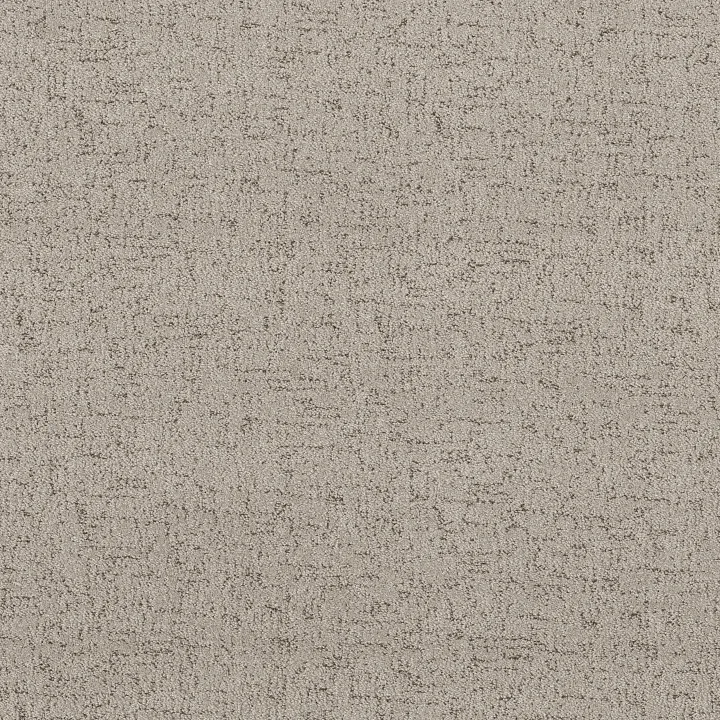 Shaw Floors Run Free — River Birch · 5E588-00106 — flooring selection with LeviArs Design & Remodeling