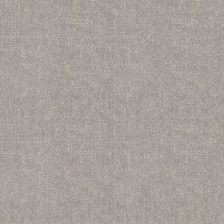 Shaw Floors Run Free — Rock Crystal · 5E588-00508 — flooring selection with LeviArs Design & Remodeling