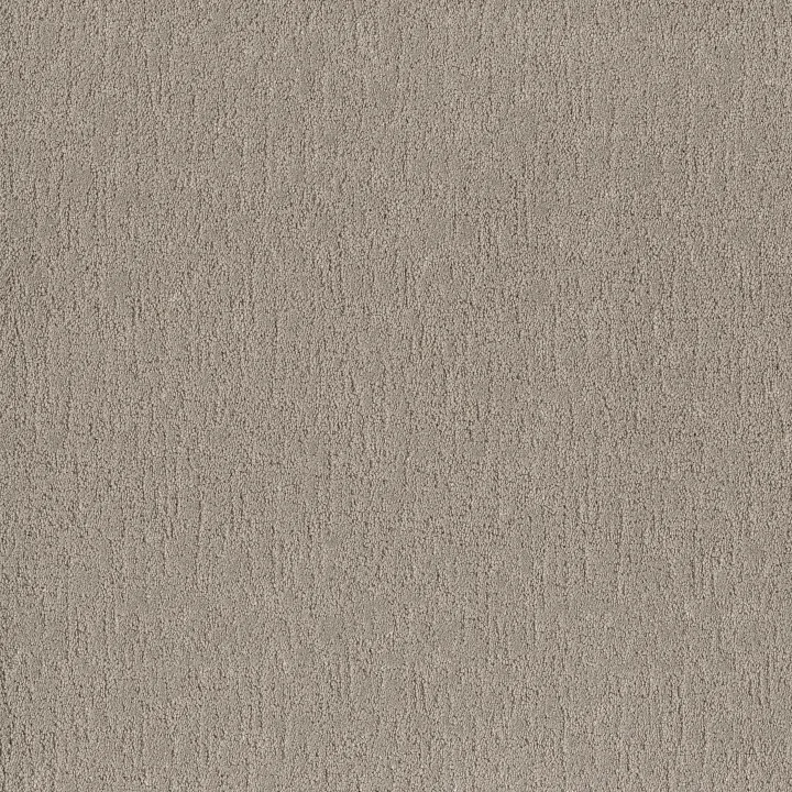 Shaw Floors Run Free — Sculpture · 5E588-00115 — flooring selection with LeviArs Design & Remodeling