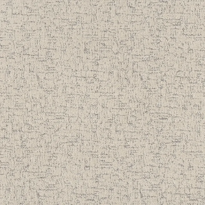 Shaw Floors Run Free — Snowfall · 5E588-00150 — flooring selection with LeviArs Design & Remodeling