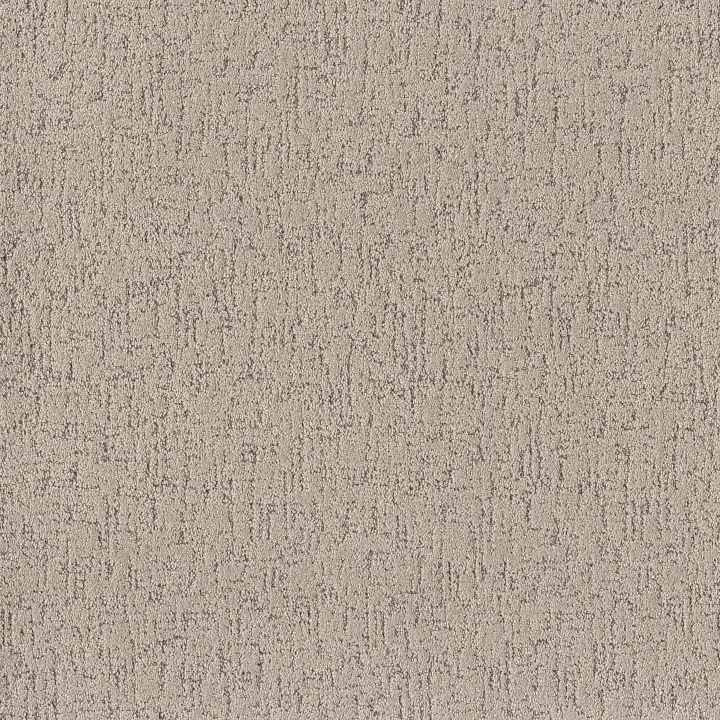 Shaw Floors Run Free — Warm Light · 5E588-00116 — flooring selection with LeviArs Design & Remodeling