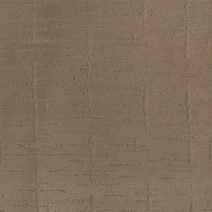 Shaw Floors Rustique Vibe — Raw Wood · CCS72-00720 — flooring selection with LeviArs Design & Remodeling