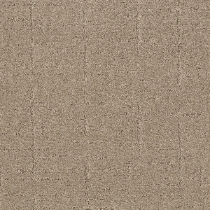 Shaw Floors Rustique Vibe — Tumbleweed · CCS72-00749 — flooring selection with LeviArs Design & Remodeling