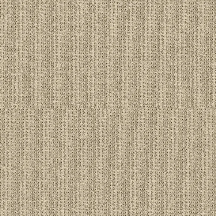 Shaw Floors San Antonio — Beach Haven · 5E829-00124 — flooring selection with LeviArs Design & Remodeling