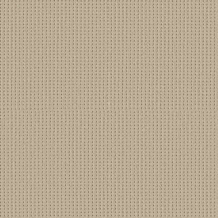 Shaw Floors San Antonio — Biscuit · 5E829-00114 — flooring selection with LeviArs Design & Remodeling
