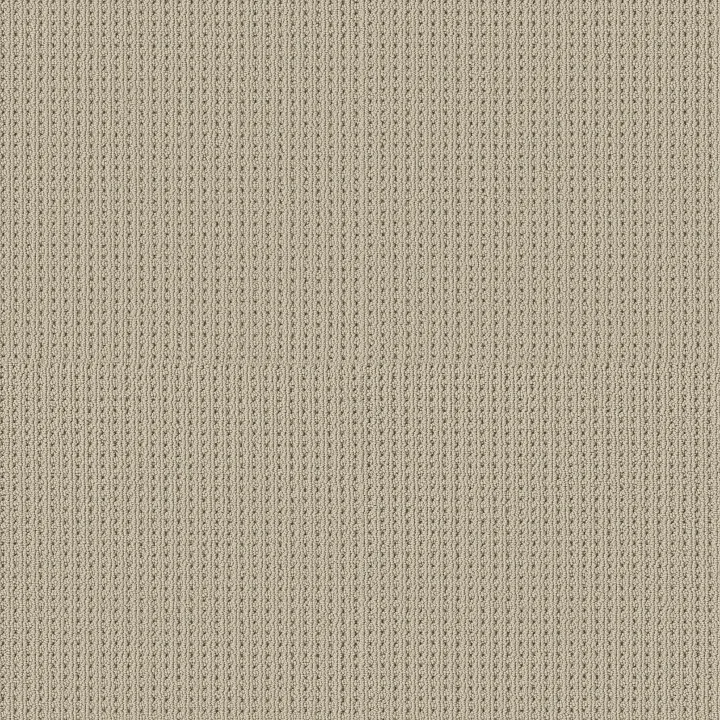 Shaw Floors San Antonio — Fleece · 5E829-00115 — flooring selection with LeviArs Design & Remodeling