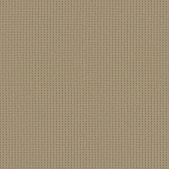 Shaw Floors San Antonio — Golden · 5E829-00127 — flooring selection with LeviArs Design & Remodeling