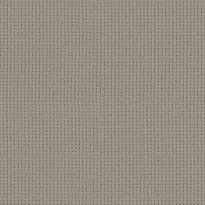 Shaw Floors San Antonio — Huskie · 5E829-00573 — flooring selection with LeviArs Design & Remodeling