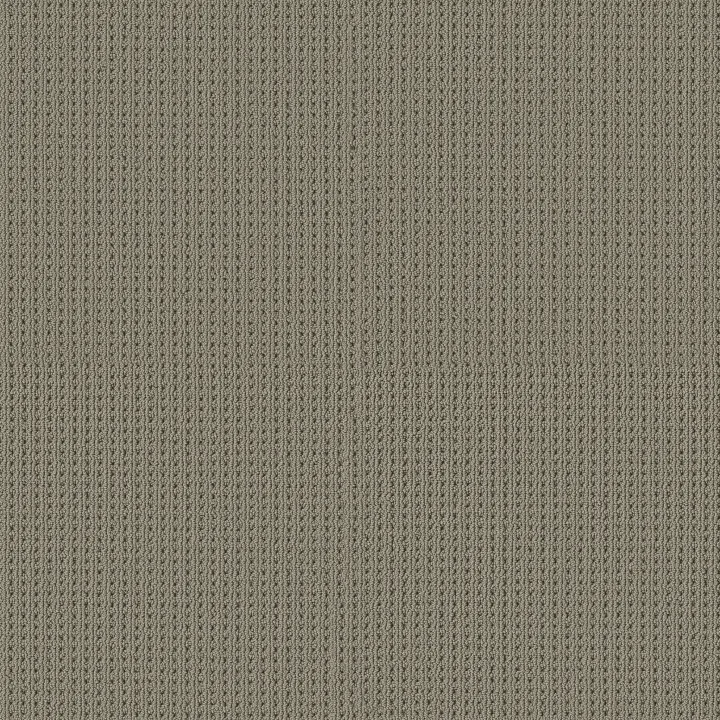 Shaw Floors San Antonio — Pewter · 5E829-00577 — flooring selection with LeviArs Design & Remodeling