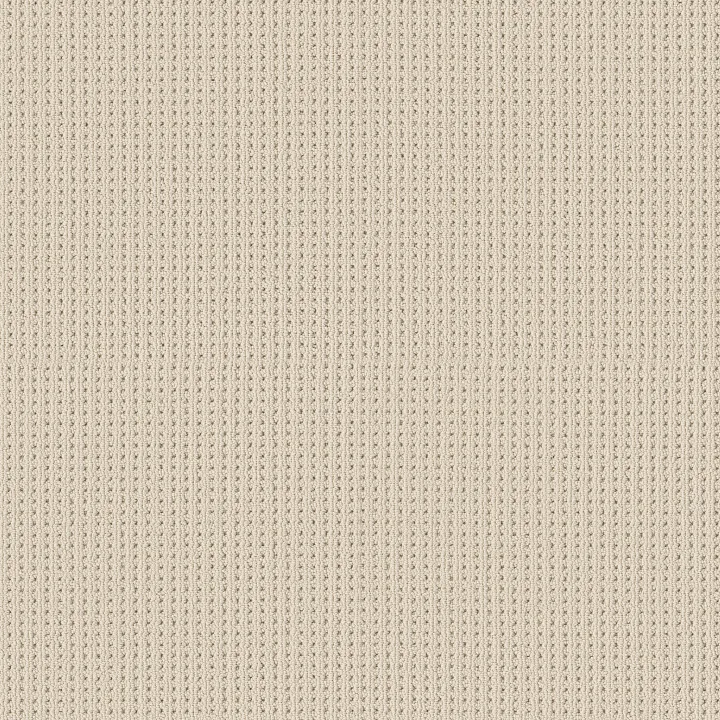 Shaw Floors San Antonio — Sparkling · 5E829-00121 — flooring selection with LeviArs Design & Remodeling
