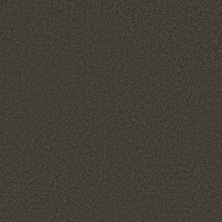 Shaw Floors Sandy Hollow Classic I 12' — Arrowhead · E0548-00522 — flooring selection with LeviArs Design & Remodeling