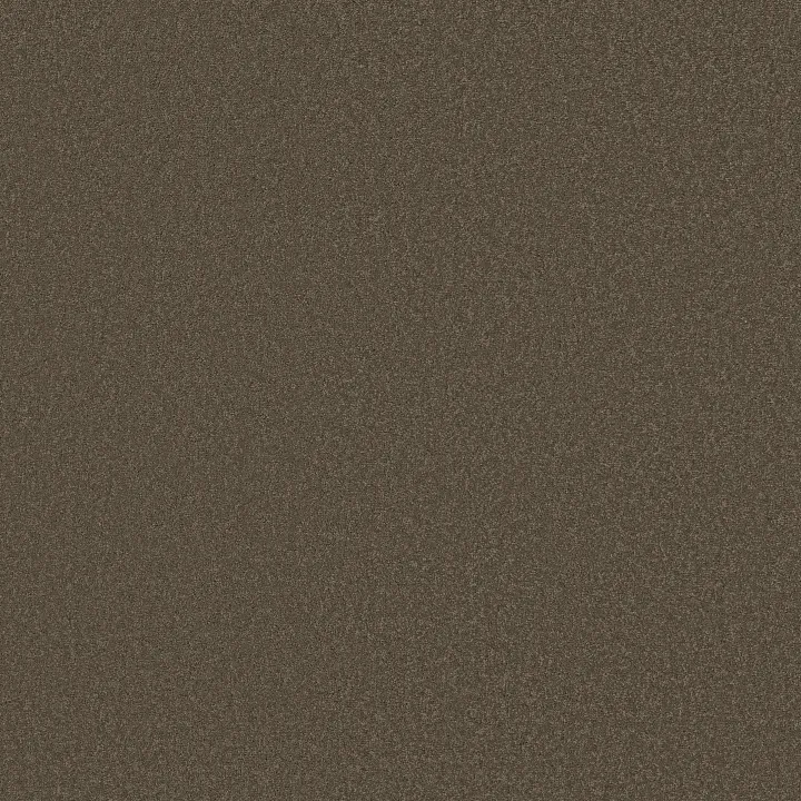 Shaw Floors Sandy Hollow Classic I 12' — Castle Rock · E0548-00521 — flooring selection with LeviArs Design & Remodeling