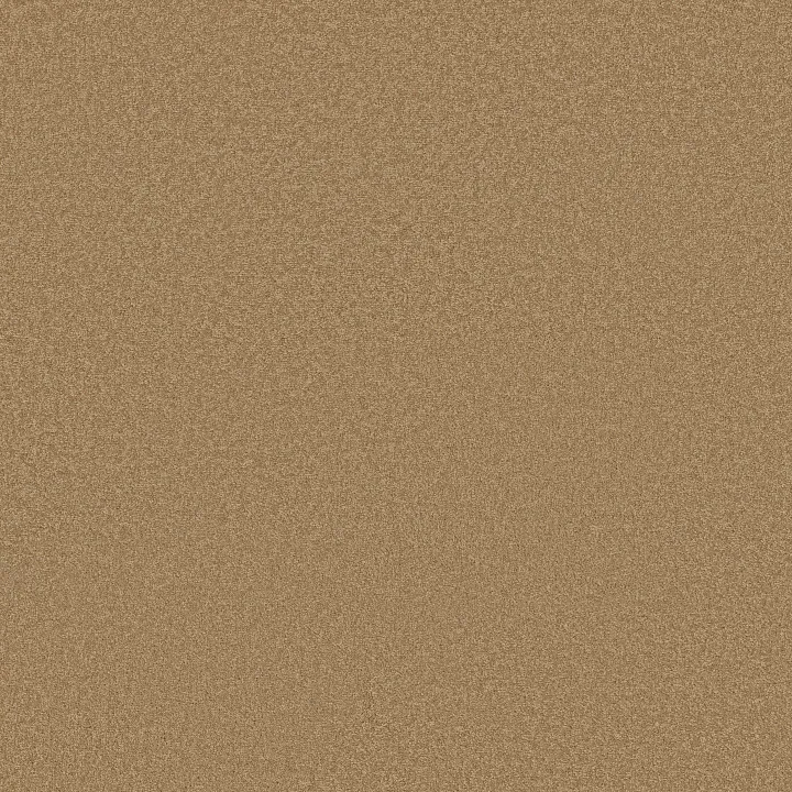 Shaw Floors Sandy Hollow Classic I 12' — Cork · E0548-00722 — flooring selection with LeviArs Design & Remodeling