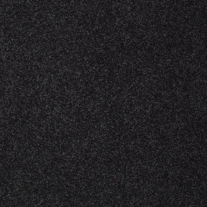 Shaw Floors Sandy Hollow Classic I 12' — Deep Sea · E0548-00421 — flooring selection with LeviArs Design & Remodeling