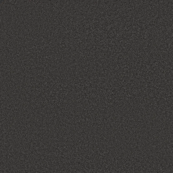 Shaw Floors Sandy Hollow Classic I 12' — Dutch Boy · E0548-00422 — flooring selection with LeviArs Design & Remodeling