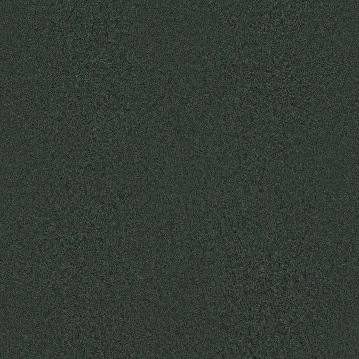 Shaw Floors Sandy Hollow Classic I 12' — Lagoon · E0548-00423 — flooring selection with LeviArs Design & Remodeling