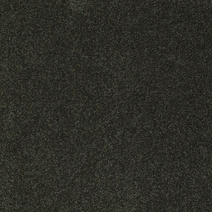 Shaw Floors Sandy Hollow Classic I 12' — Lilly Pad · E0548-00320 — flooring selection with LeviArs Design & Remodeling