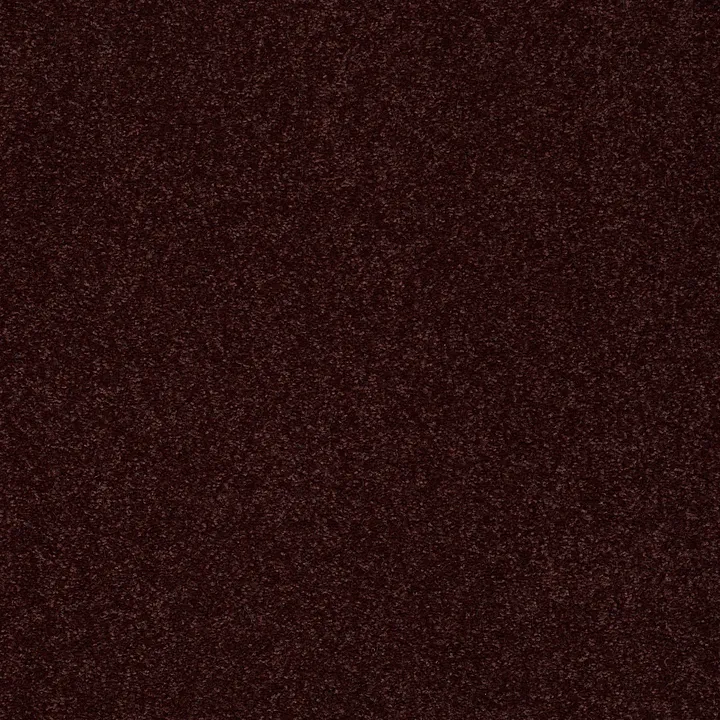 Shaw Floors Sandy Hollow Classic III 15' — Rouge Red · E0553-00820 — flooring selection with LeviArs Design & Remodeling