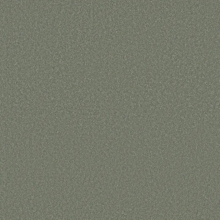 Shaw Floors Sandy Hollow Classic I 12' — Tropical Surf · E0548-00420 — flooring selection with LeviArs Design & Remodeling
