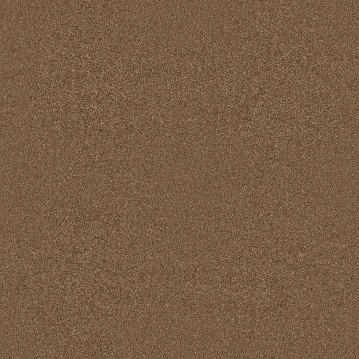 Shaw Floors Sandy Hollow Classic I 12' — Windmill · E0548-00720 — flooring selection with LeviArs Design & Remodeling