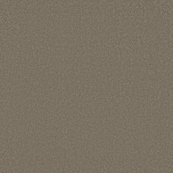 Shaw Floors Sandy Hollow Classic I 12' — Wood Smoke · E0548-00520 — flooring selection with LeviArs Design & Remodeling