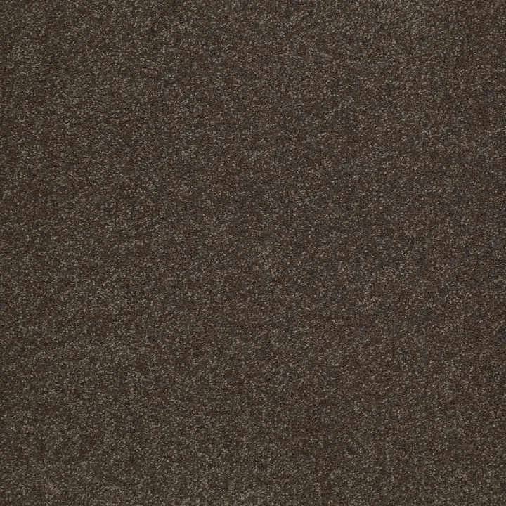 Shaw Floors Sandy Hollow Classic III 12' — Arrowhead · E0552-00522 — flooring selection with LeviArs Design & Remodeling