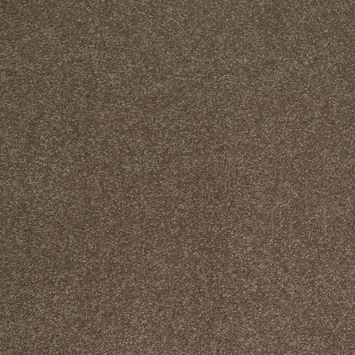 Shaw Floors Sandy Hollow Classic III 12' — Castle Rock · E0552-00521 — flooring selection with LeviArs Design & Remodeling