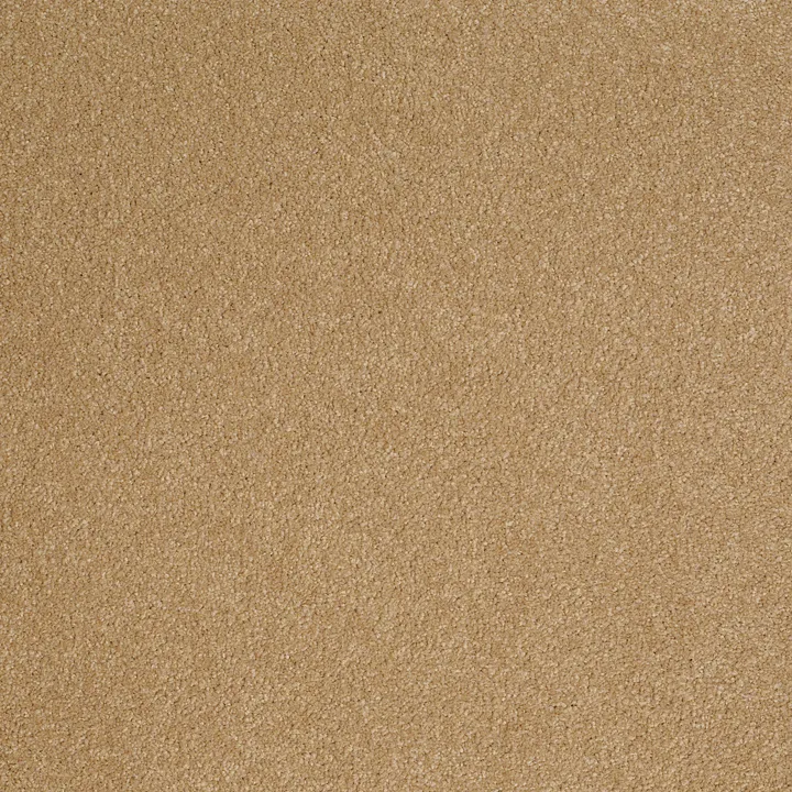Shaw Floors Sandy Hollow Classic III 12' — Cork · E0552-00722 — flooring selection with LeviArs Design & Remodeling