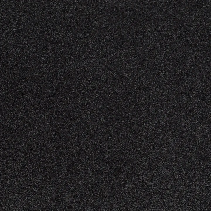 Shaw Floors Sandy Hollow Classic III 12' — Deep Sea · E0552-00421 — flooring selection with LeviArs Design & Remodeling
