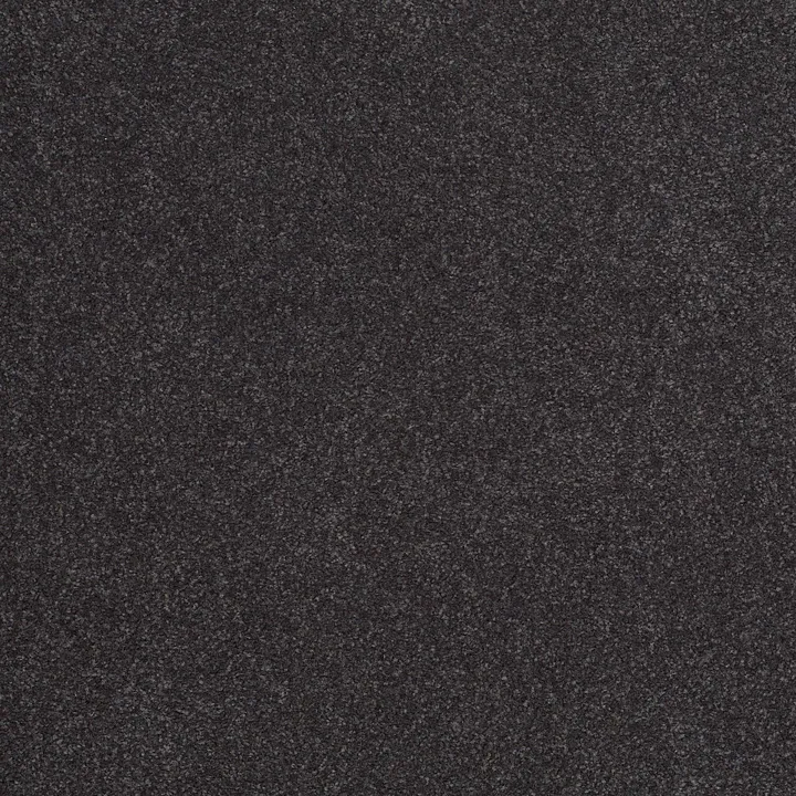 Shaw Floors Sandy Hollow Classic III 12' — Dutch Boy · E0552-00422 — flooring selection with LeviArs Design & Remodeling