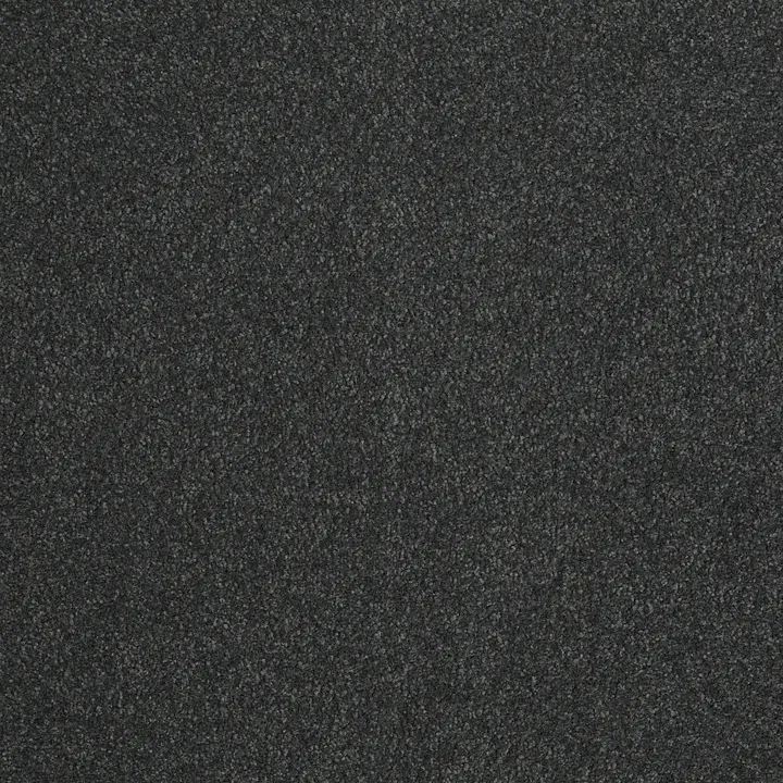 Shaw Floors Sandy Hollow Classic III 12' — Lagoon · E0552-00423 — flooring selection with LeviArs Design & Remodeling