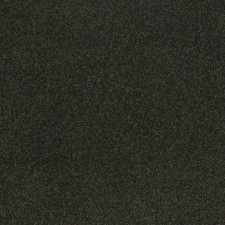 Shaw Floors Sandy Hollow Classic III 12' — Lilly Pad · E0552-00320 — flooring selection with LeviArs Design & Remodeling