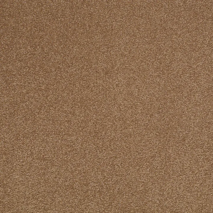 Shaw Floors Sandy Hollow Classic III 12' — Windmill · E0552-00720 — flooring selection with LeviArs Design & Remodeling