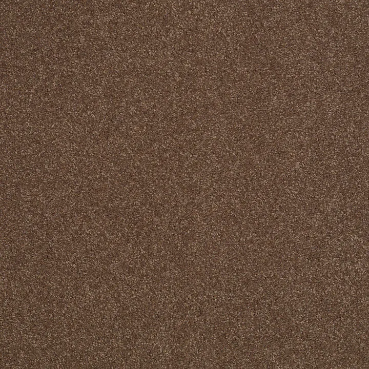 Shaw Floors Sandy Hollow Classic III 12' — Wooden Box · E0552-00721 — flooring selection with LeviArs Design & Remodeling