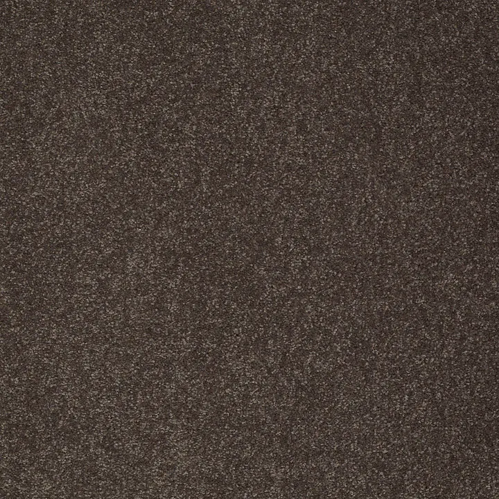 Shaw Floors Sandy Hollow Classic III 15' — Arrowhead · E0553-00522 — flooring selection with LeviArs Design & Remodeling