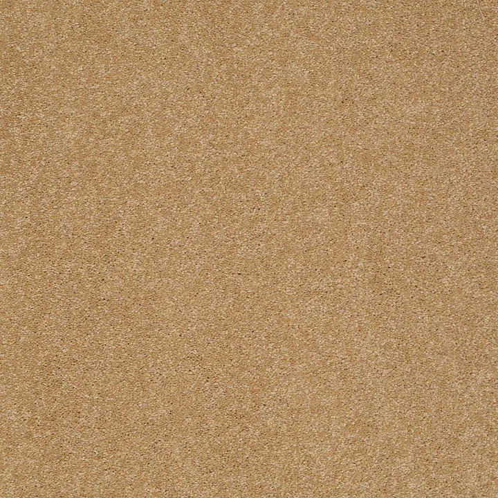 Shaw Floors Sandy Hollow Classic III 15' — Cork · E0553-00722 — flooring selection with LeviArs Design & Remodeling