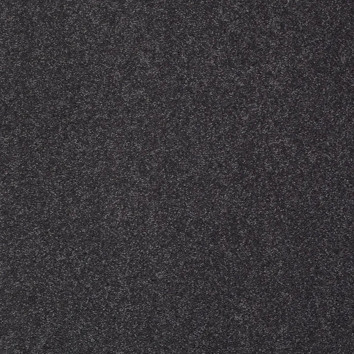 Shaw Floors Sandy Hollow Classic III 15' — Dutch Boy · E0553-00422 — flooring selection with LeviArs Design & Remodeling