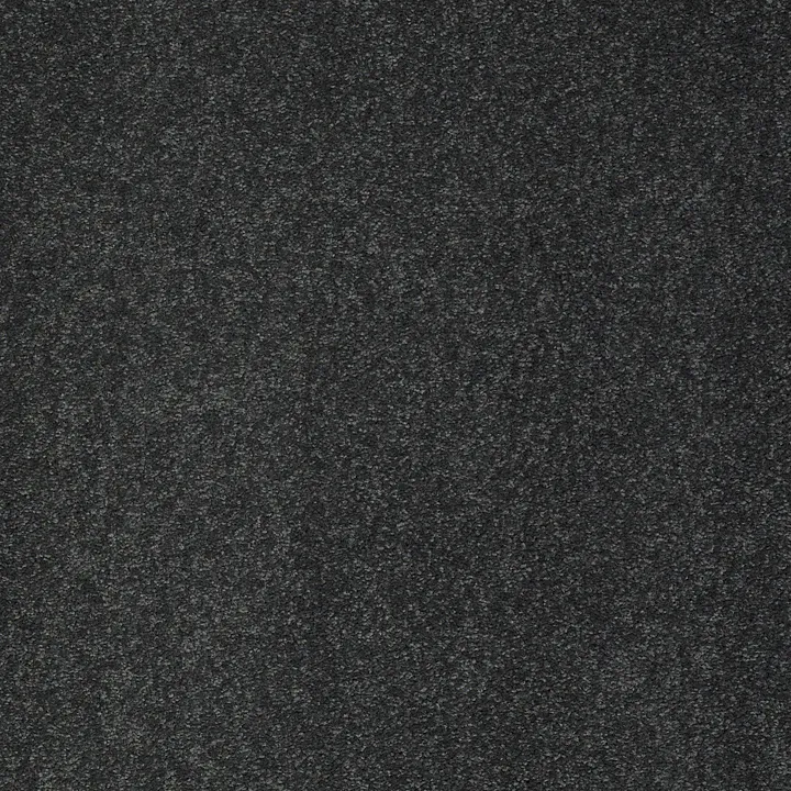 Shaw Floors Sandy Hollow Classic III 15' — Lagoon · E0553-00423 — flooring selection with LeviArs Design & Remodeling
