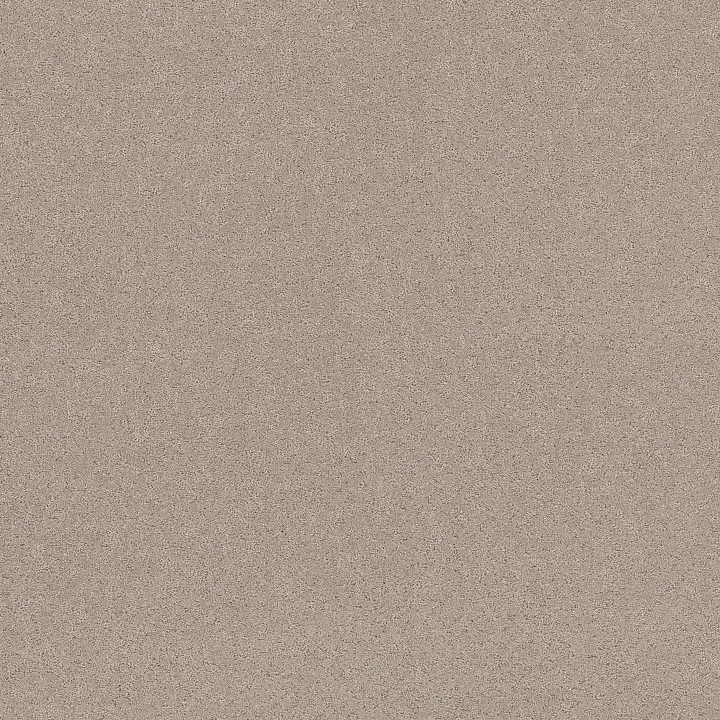 Shaw Floors Secret Adventure — Baja · 5E901-00720 — flooring selection with LeviArs Design & Remodeling