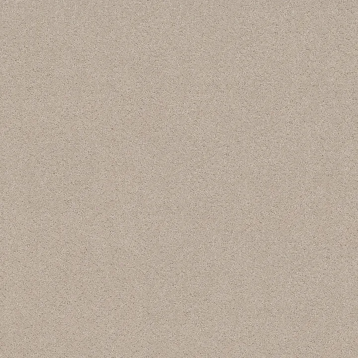 Shaw Floors Secret Adventure — Cafe Latte · 5E901-00122 — flooring selection with LeviArs Design & Remodeling