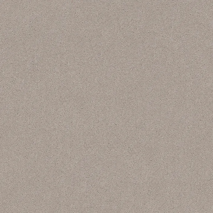 Shaw Floors Secret Adventure — Chic Taupe · 5E901-00124 — flooring selection with LeviArs Design & Remodeling