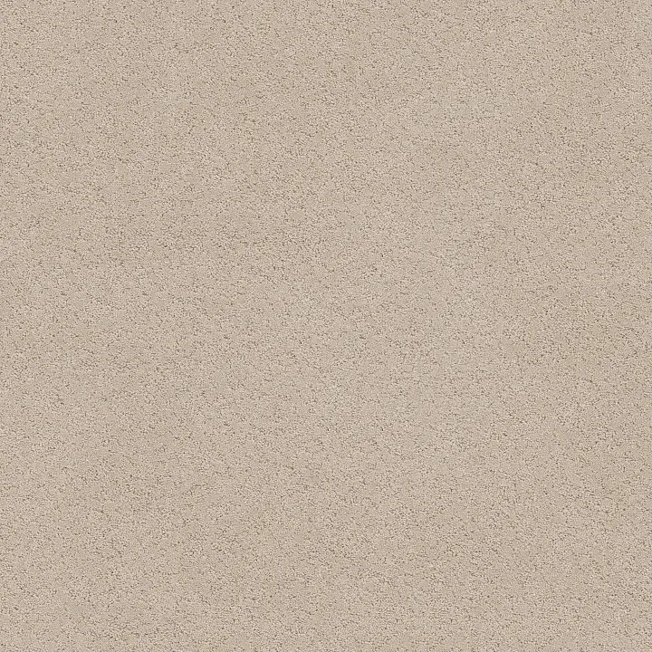 Shaw Floors Secret Adventure — Dune View · 5E901-00120 — flooring selection with LeviArs Design & Remodeling