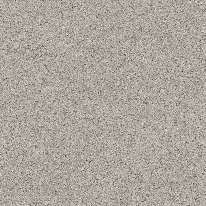 Shaw Floors Secret Adventure — Four Winds · 5E901-00520 — flooring selection with LeviArs Design & Remodeling