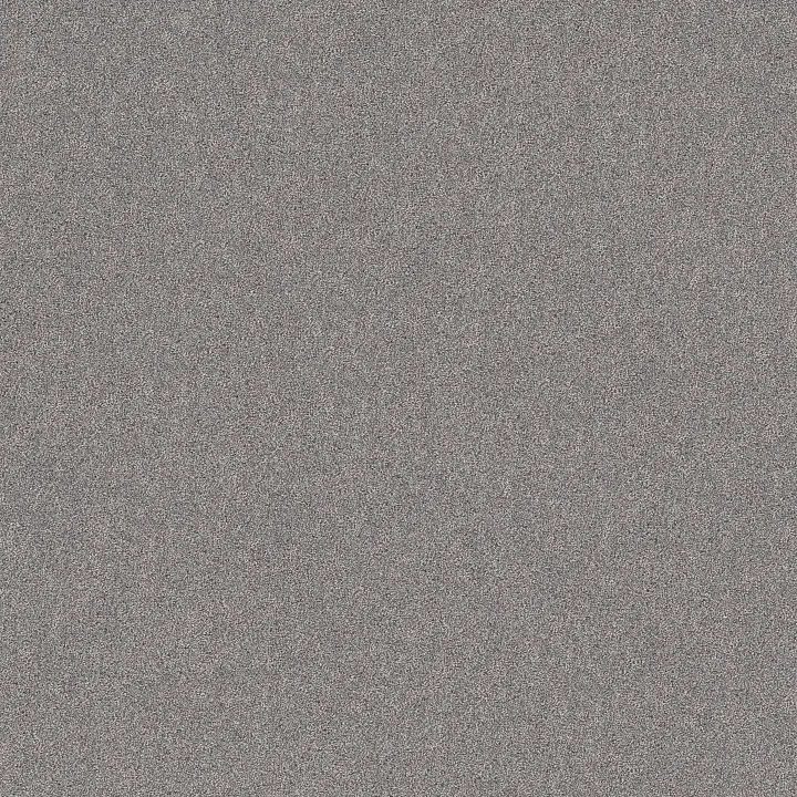 Shaw Floors Secret Adventure — Graphic · 5E901-00522 — flooring selection with LeviArs Design & Remodeling